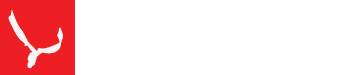 Example Blog Title Logo